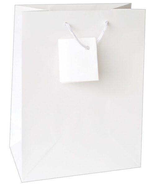 04047-EC Vrećica L jednobojna mat bijela 26x32,4x12,7cm 71212 P12/144
