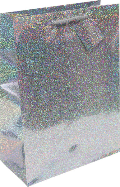 204618-EC Vrećica L hologramska srebrna 26x32,4x12,7cm 71277 P12/144