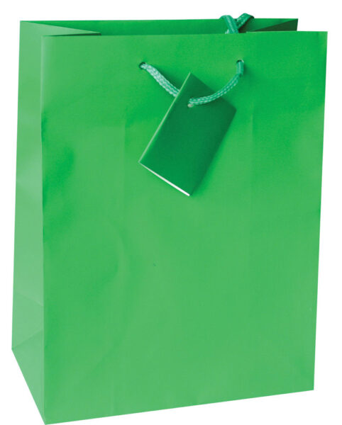 214135-EC Vrećica L jednobojna mat zelena 26x32,4x12,7cm 71465 P12/144