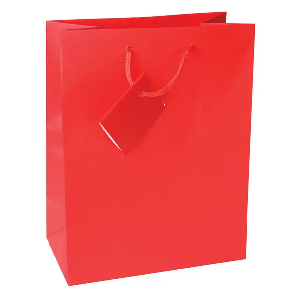 214138-EC Vrećica M jednobojna mat crvena 17,8x22,9x9,8cm 71456 P12/288