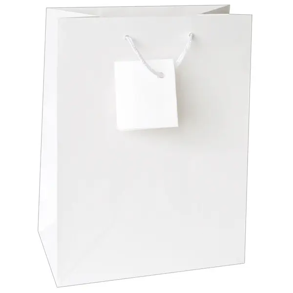 214146-EC Vrećica XL jednobojna mat bijela 33x45,7x10,2 71451 P12/144