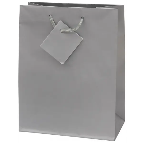 216120-EC Vrećica M jednobojna mat srebrna 17,8x22,9x9,8cm 71468 P12/288