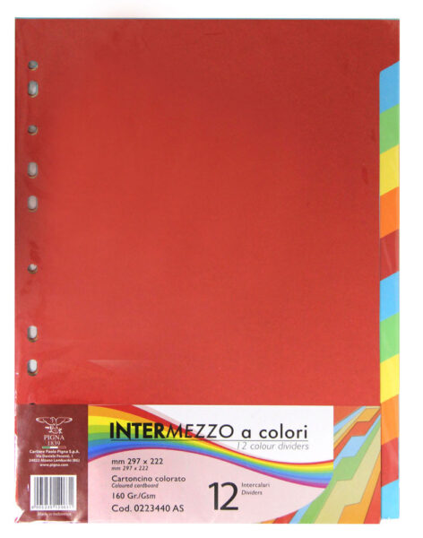 221411-EC Index kart. 12 boja za registr.A4 Pigna 0223440 P40/120