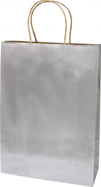 223348-EC Vrećica XL natron-ručka srebrna 31x11x42cm 71440 P10/250