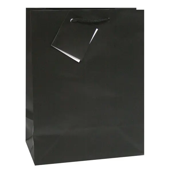 228240-EC Vrećica L jednobojna mat crna 26x32,4x12,7cm 75232 P12/144