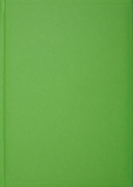 240098-EC Notes ISLAND B5 16,5x23,5 kiwi zeleni 991.017.51 P20