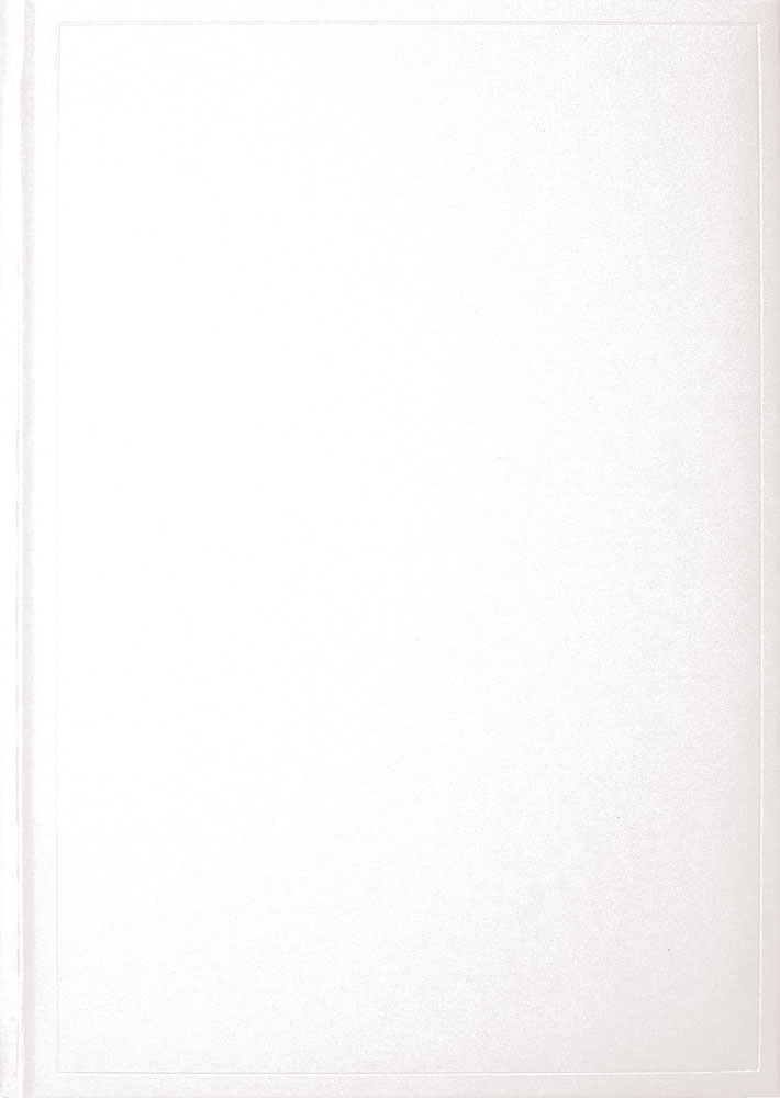 240100-EC Notes ISLAND B5 16,5x23,5 bijeli 991.017.90 P20