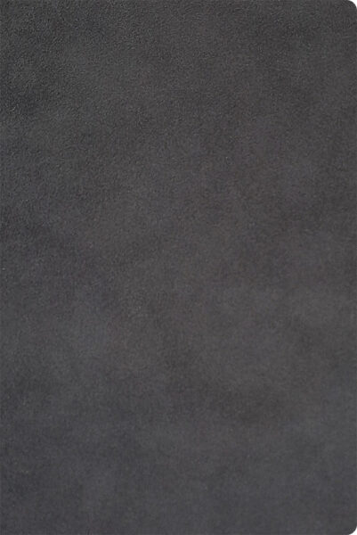 245355-EC Notes NUBUCK ECO A5 14x21 sivi 991.037.11 P20