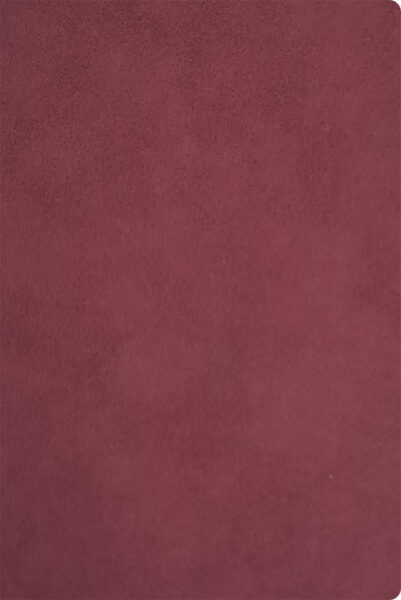 245358-EC Notes NUBUCK ECO A5 14x21 bordo 991.037.33 P20