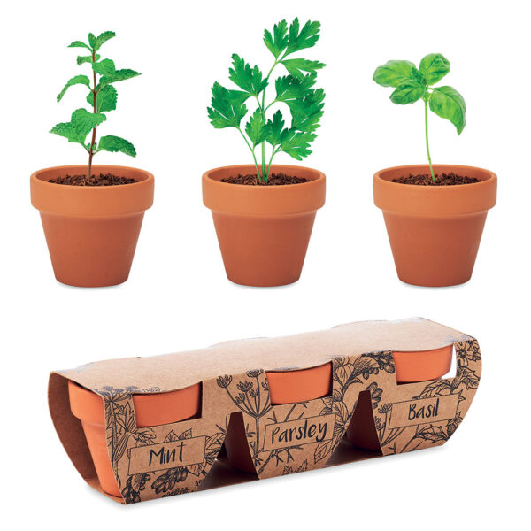 Set teglica Flowerpot sa sjemenom začinskog bilja menta, peršin i bosiljak