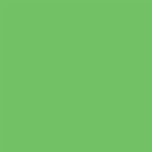246516-EC Papir hamer B1 220gr. int. sv.zelena BRIGHT GREEN 23 56830 10/1