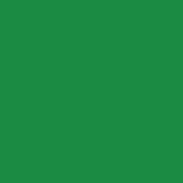 246517-EC Papir hamer B1 220gr. int. zelena TEA GREEN 25 56832 10/1