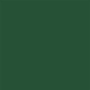 246518-EC Papir hamer B1 220gr. int. t.zelena PARROT 28 56833 10/1