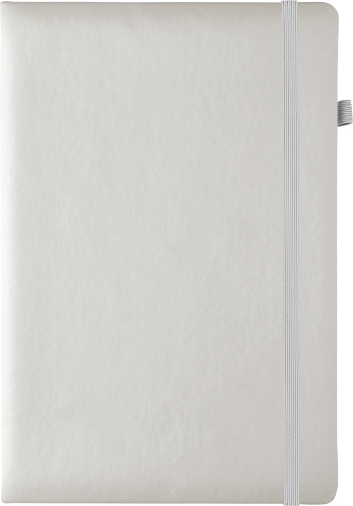 246647-EC Notes AURORA A5 14x21cm srebrni P20/40