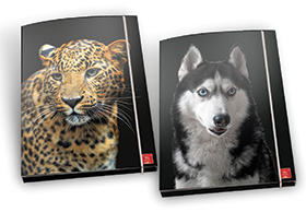 215474-EC Mapa el. Pigna Animal P6/24