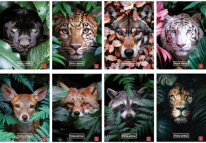 232567-EC Bilježnica A4/B Pigna Animal P10/60 NETTO