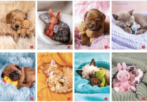 232573-EC Bilježnica A4/D Pigna Dolci Cuccioli P10/60 NETTO