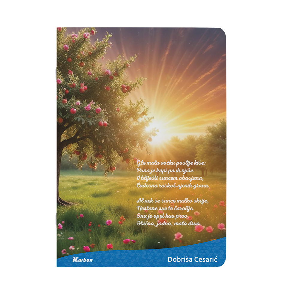 237066-EC Bilježnica A4/D KARBON s memom 42L, P10/60