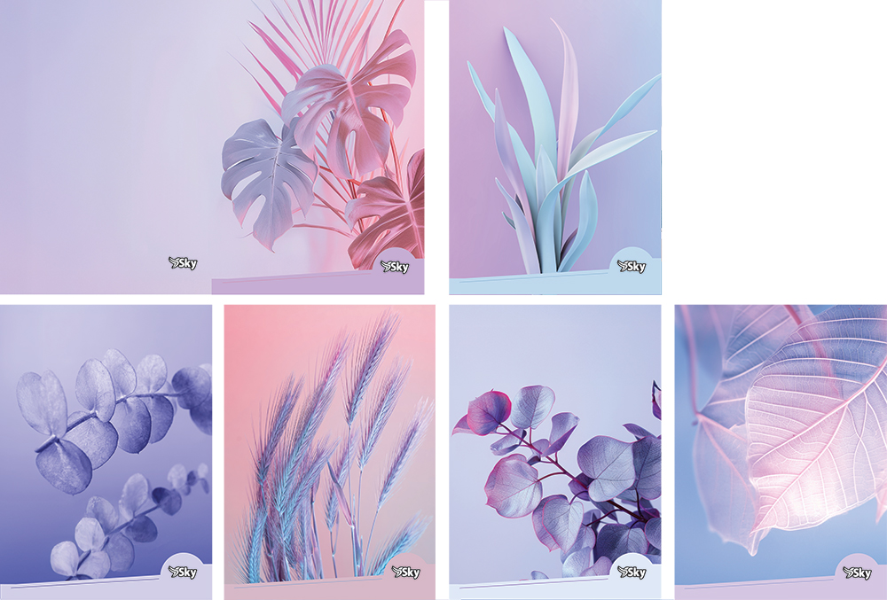 248081-EC Bilježnica A4/D SKY FLORA 42L P10/60