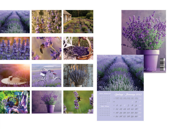 249745-EC Kalendar LAVANDA 13L 32x44+7, spirala, vrećica P25 SG 2027